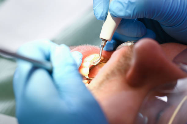 Best Dentist Open Late Near Me  in Champaign, IL